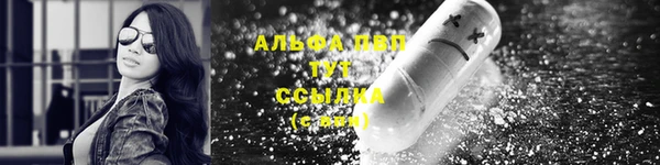 прущие крисы Магас