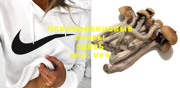 дурь Лиски
