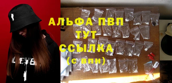 амф Магадан
