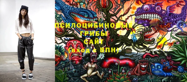 дурь Лиски